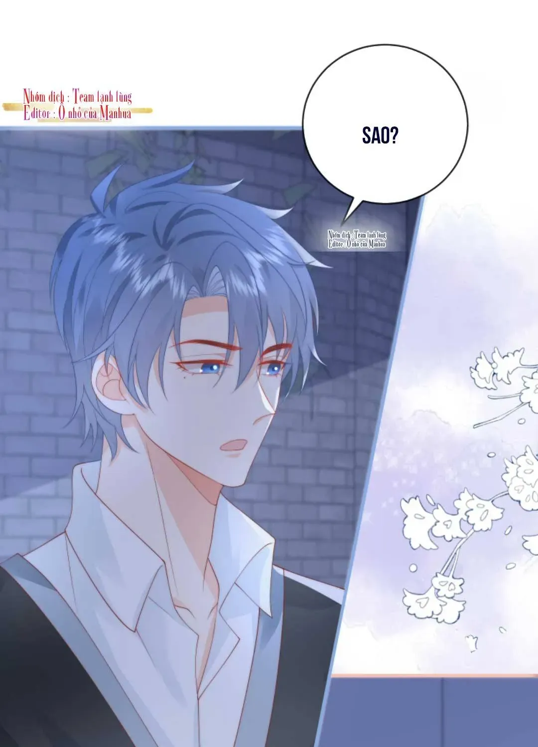 Sinh Trở Lại Làm Vợ Tổng Tài Chapter 16 - Trang 11
