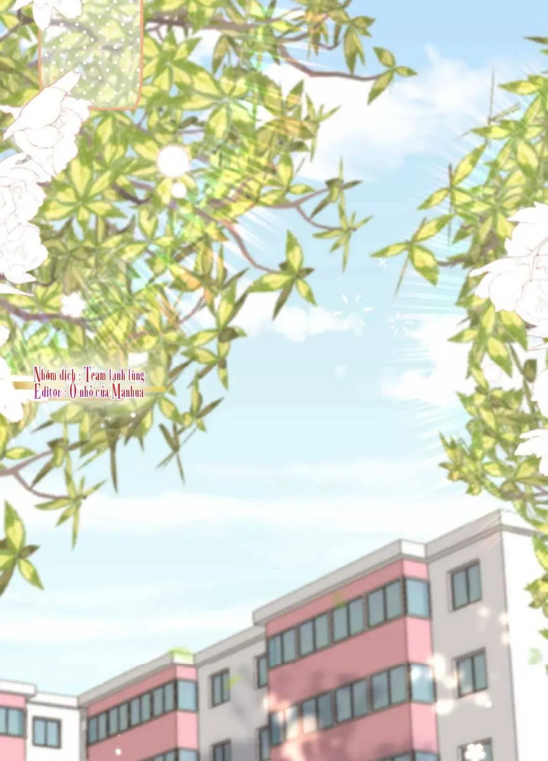 Sinh Trở Lại Làm Vợ Tổng Tài Chapter 2 - Trang 6