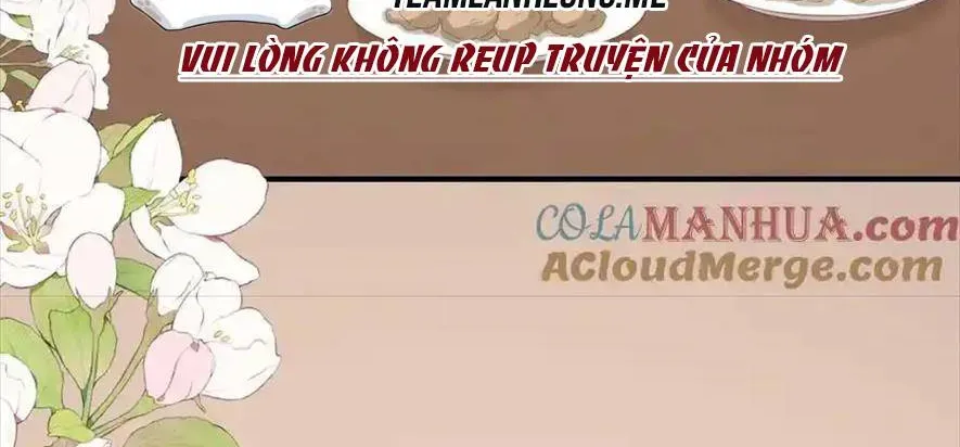 Sinh Trở Lại Làm Vợ Tổng Tài Chapter 48 - Trang 5