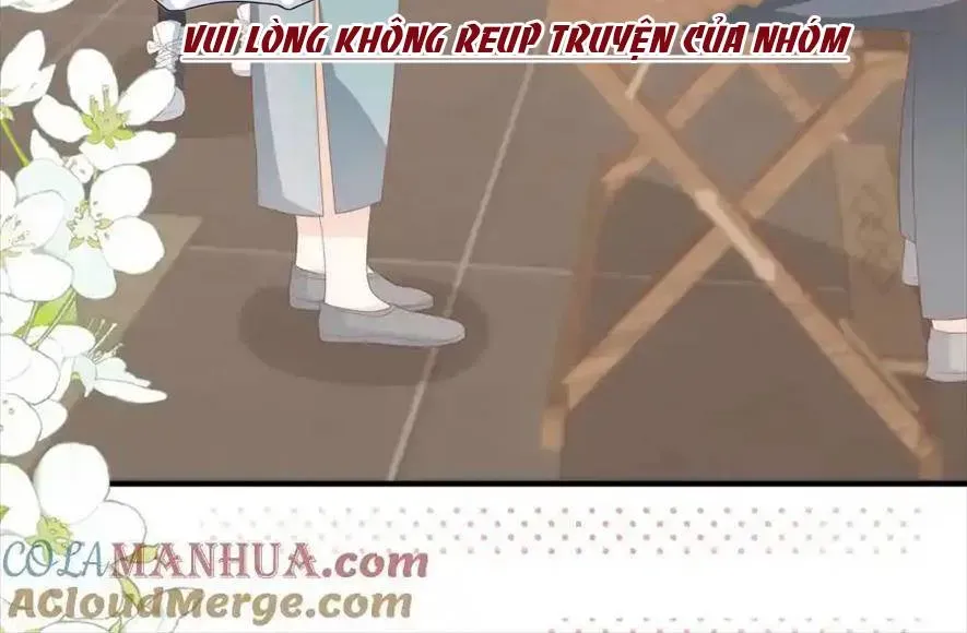 Sinh Trở Lại Làm Vợ Tổng Tài Chapter 53 - Trang 25
