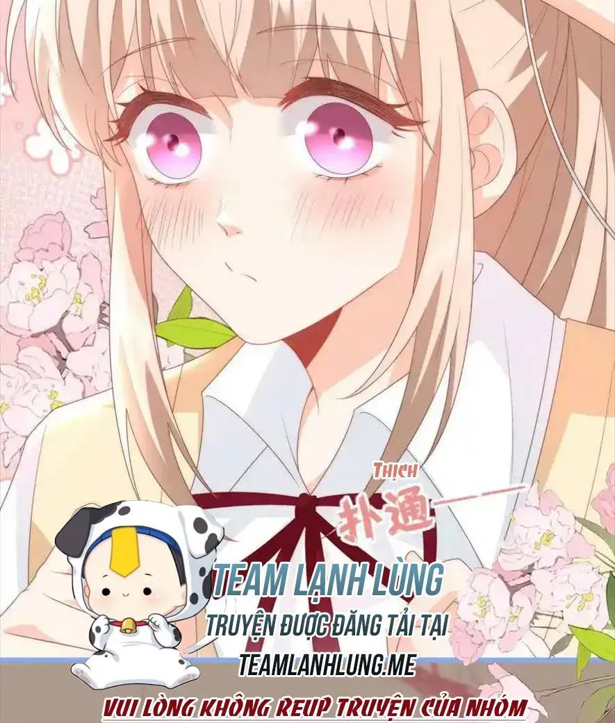 Sinh Trở Lại Làm Vợ Tổng Tài Chapter 61 - Trang 11
