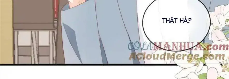 Sinh Trở Lại Làm Vợ Tổng Tài Chapter 64 - Trang 5