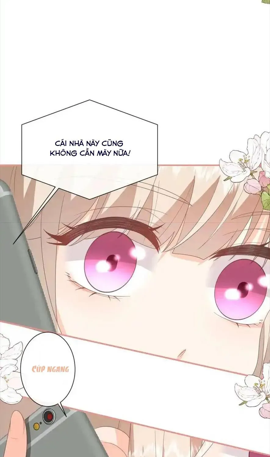 Sinh Trở Lại Làm Vợ Tổng Tài Chapter 75 - Trang 26