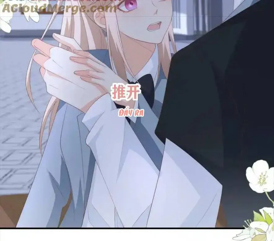 Sinh Trở Lại Làm Vợ Tổng Tài Chapter 76 - Trang 20