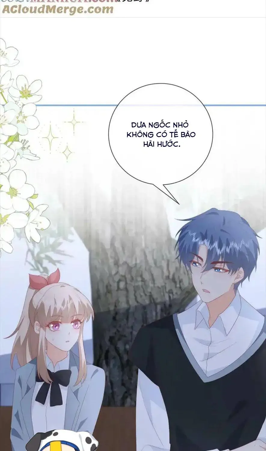 Sinh Trở Lại Làm Vợ Tổng Tài Chapter 77 - Trang 3