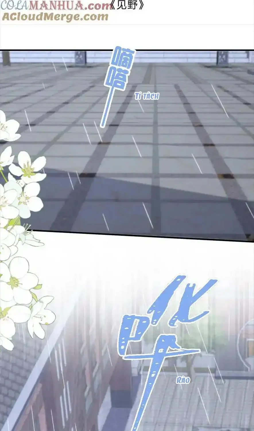 Sinh Trở Lại Làm Vợ Tổng Tài Chapter 87 - Trang 3