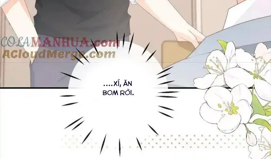 Sinh Trở Lại Làm Vợ Tổng Tài Chapter 96 - Trang 5