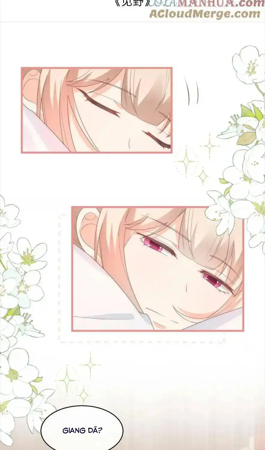 Sinh Trở Lại Làm Vợ Tổng Tài Chapter 97 - Trang 3