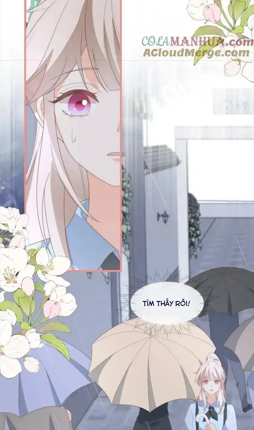 Sinh Trở Lại Làm Vợ Tổng Tài Chapter 99 - Trang 12