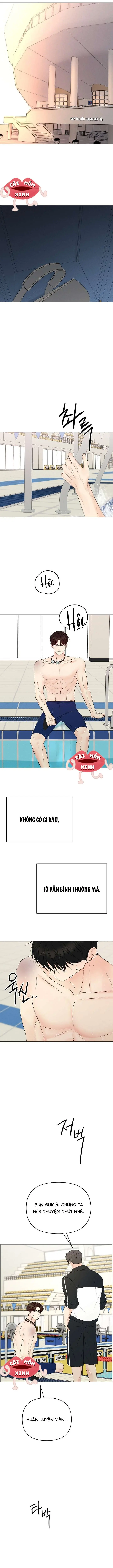 Soái Ca Kiểu Mẫu Chapter 15 - Trang 8