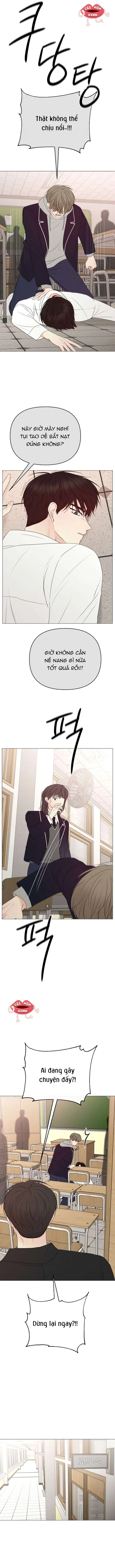 Soái Ca Kiểu Mẫu Chapter 19 - Trang 14