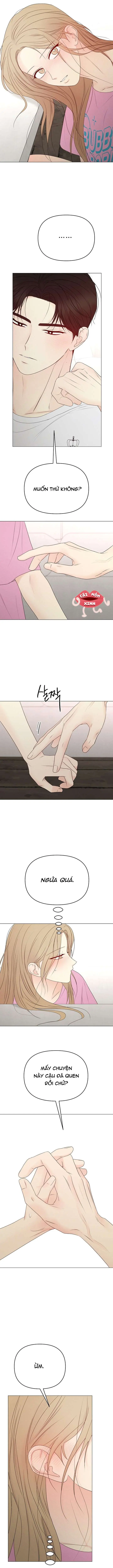 Soái Ca Kiểu Mẫu Chapter 21 - Trang 17