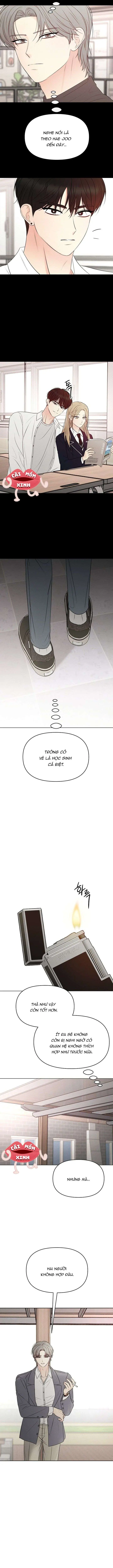 Soái Ca Kiểu Mẫu Chapter 8 - Trang 8