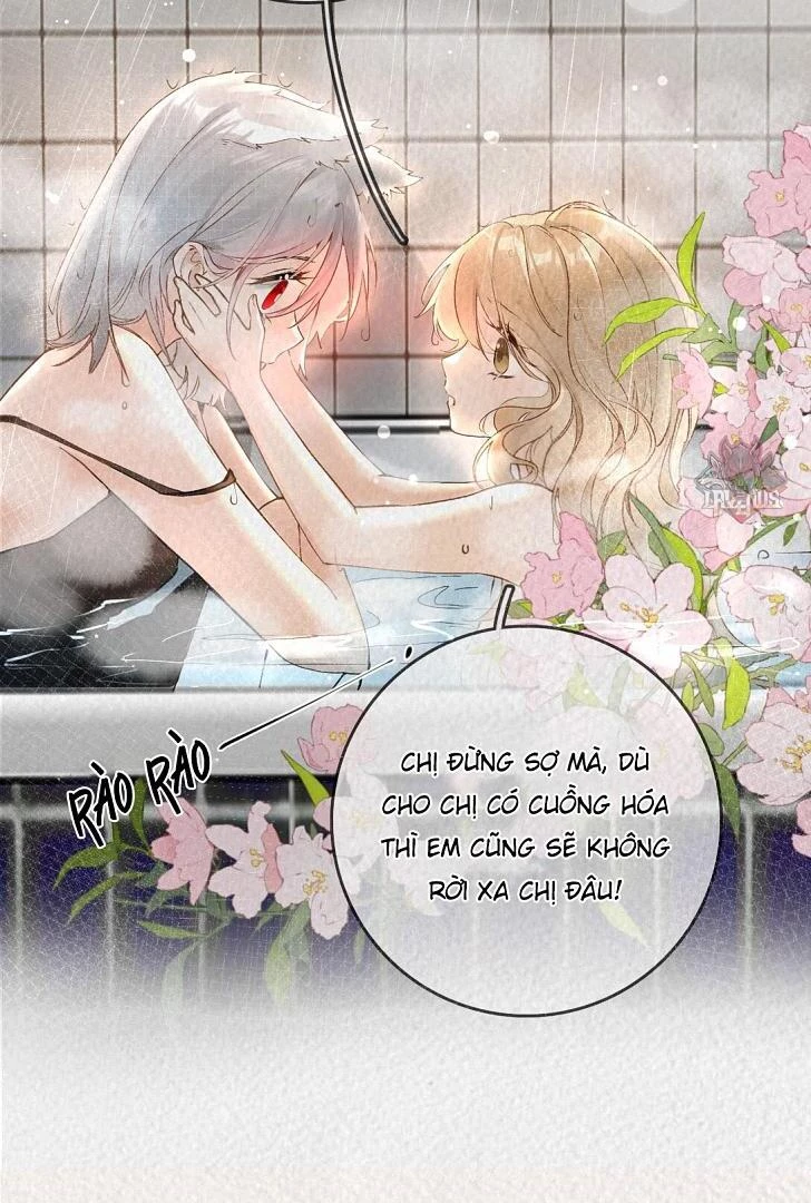 Sói Tiểu Thư Và Em Gái Hồ Ly Của Tôi Chapter 1 - Trang 28