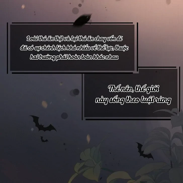 Sói Tiểu Thư Và Em Gái Hồ Ly Của Tôi Chapter 1 - Trang 5
