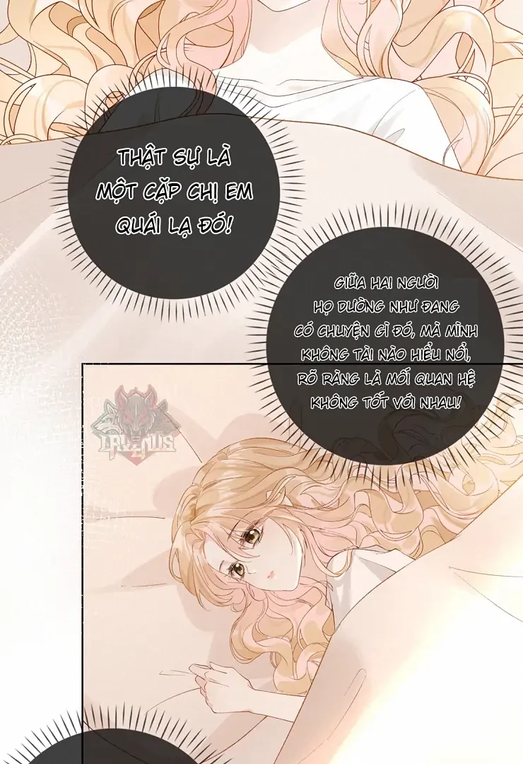 Sói Tiểu Thư Và Em Gái Hồ Ly Của Tôi Chapter 10 - Trang 22