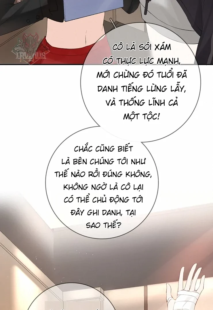 Sói Tiểu Thư Và Em Gái Hồ Ly Của Tôi Chapter 10 - Trang 30