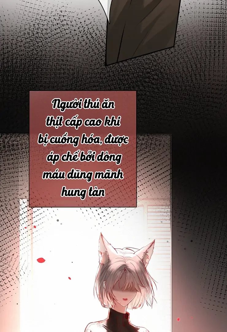 Sói Tiểu Thư Và Em Gái Hồ Ly Của Tôi Chapter 11 - Trang 24