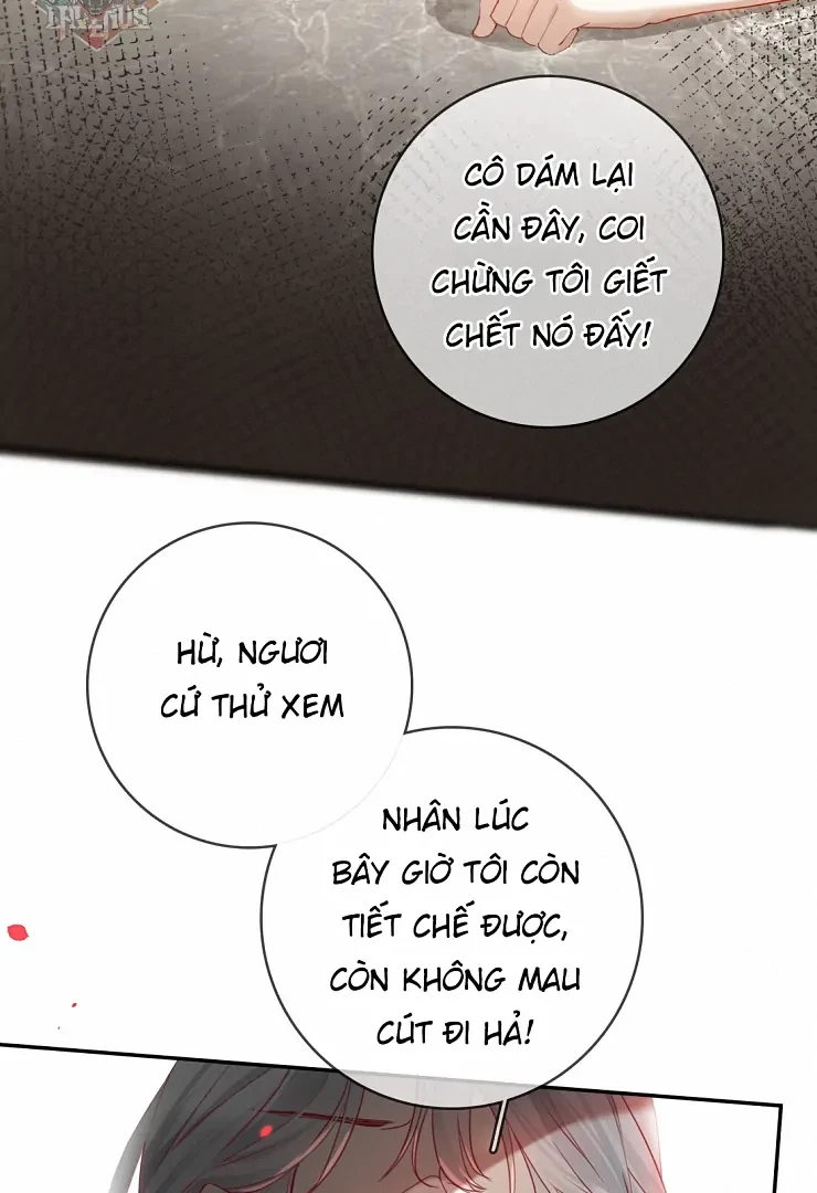 Sói Tiểu Thư Và Em Gái Hồ Ly Của Tôi Chapter 11 - Trang 29