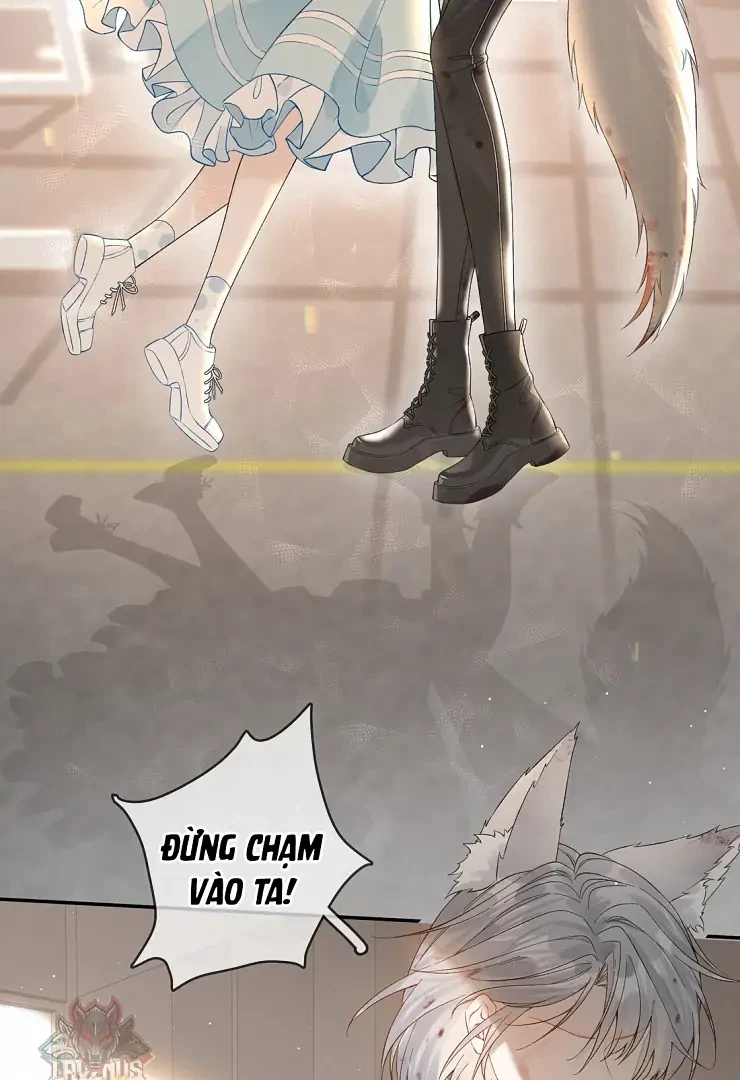 Sói Tiểu Thư Và Em Gái Hồ Ly Của Tôi Chapter 11 - Trang 33