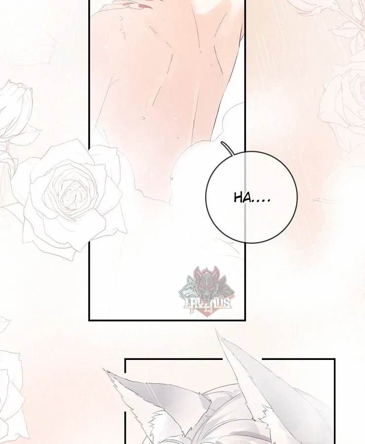 Sói Tiểu Thư Và Em Gái Hồ Ly Của Tôi Chapter 11 - Trang 39