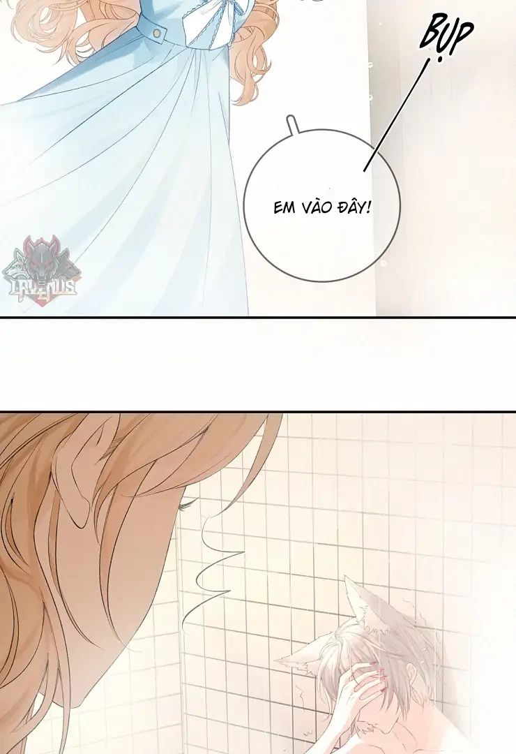 Sói Tiểu Thư Và Em Gái Hồ Ly Của Tôi Chapter 11 - Trang 43