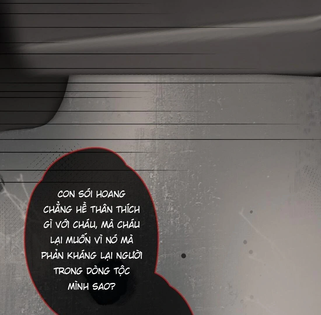 Sói Tiểu Thư Và Em Gái Hồ Ly Của Tôi Chapter 14 - Trang 26