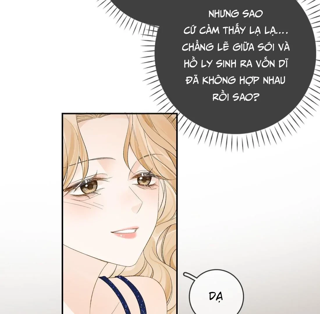 Sói Tiểu Thư Và Em Gái Hồ Ly Của Tôi Chapter 15 - Trang 9