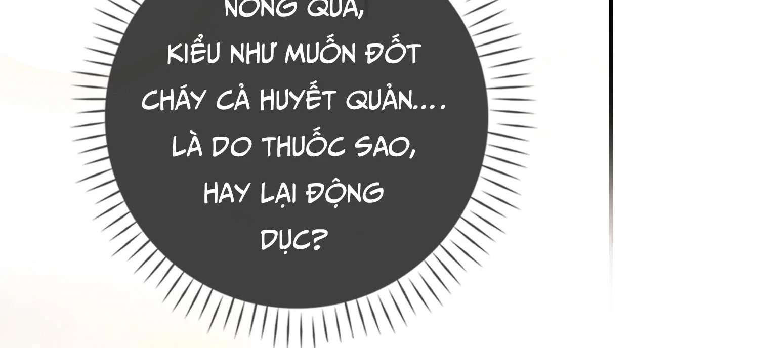 Sói Tiểu Thư Và Em Gái Hồ Ly Của Tôi Chapter 17 - Trang 29