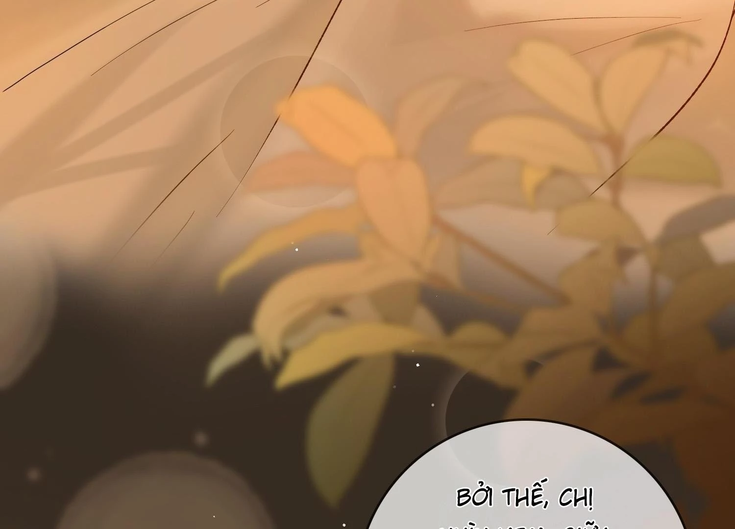 Sói Tiểu Thư Và Em Gái Hồ Ly Của Tôi Chapter 17 - Trang 7