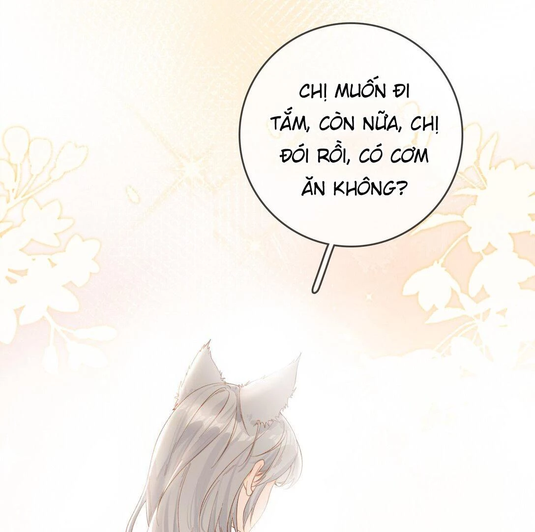 Sói Tiểu Thư Và Em Gái Hồ Ly Của Tôi Chapter 18 - Trang 15