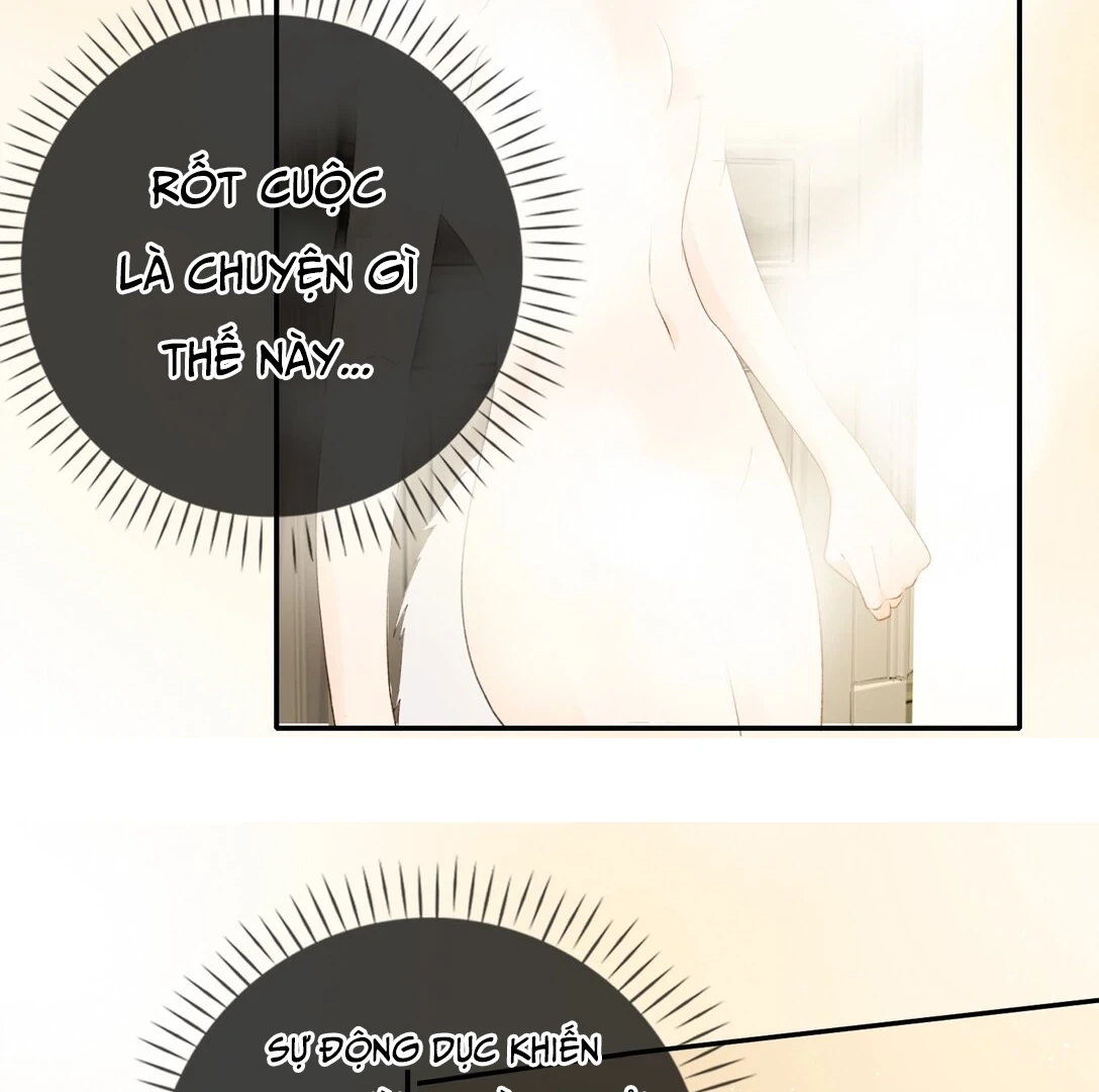 Sói Tiểu Thư Và Em Gái Hồ Ly Của Tôi Chapter 18 - Trang 24