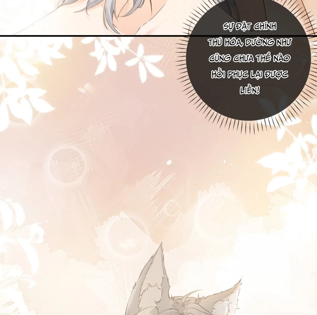 Sói Tiểu Thư Và Em Gái Hồ Ly Của Tôi Chapter 18 - Trang 28
