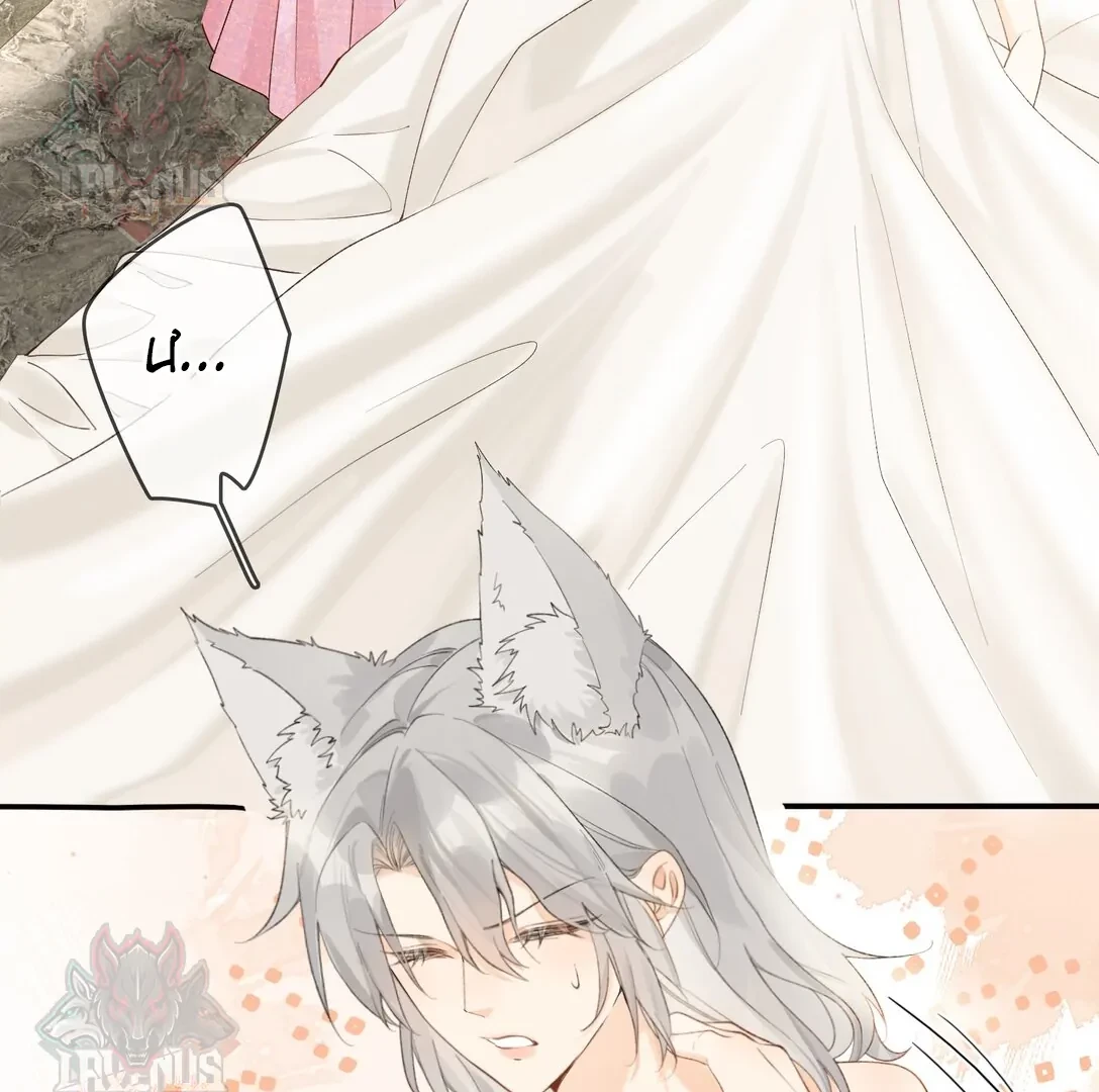 Sói Tiểu Thư Và Em Gái Hồ Ly Của Tôi Chapter 18 - Trang 4