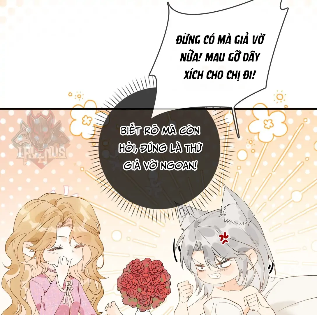 Sói Tiểu Thư Và Em Gái Hồ Ly Của Tôi Chapter 18 - Trang 9