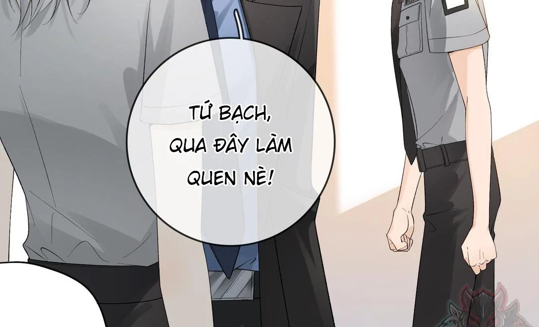 Sói Tiểu Thư Và Em Gái Hồ Ly Của Tôi Chapter 19 - Trang 13