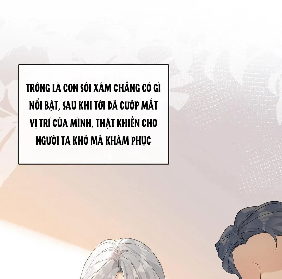 Sói Tiểu Thư Và Em Gái Hồ Ly Của Tôi Chapter 19 - Trang 15