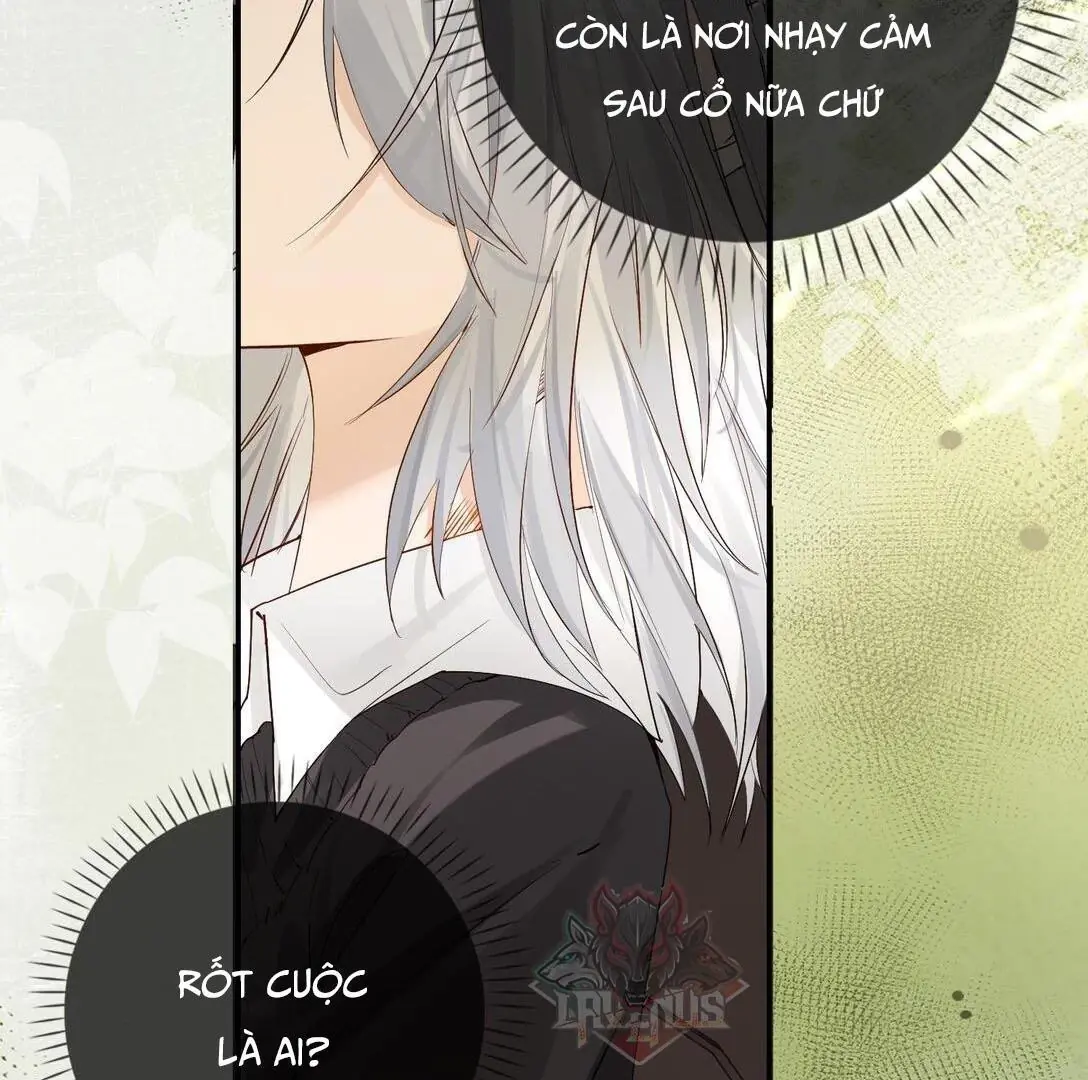 Sói Tiểu Thư Và Em Gái Hồ Ly Của Tôi Chapter 19 - Trang 5