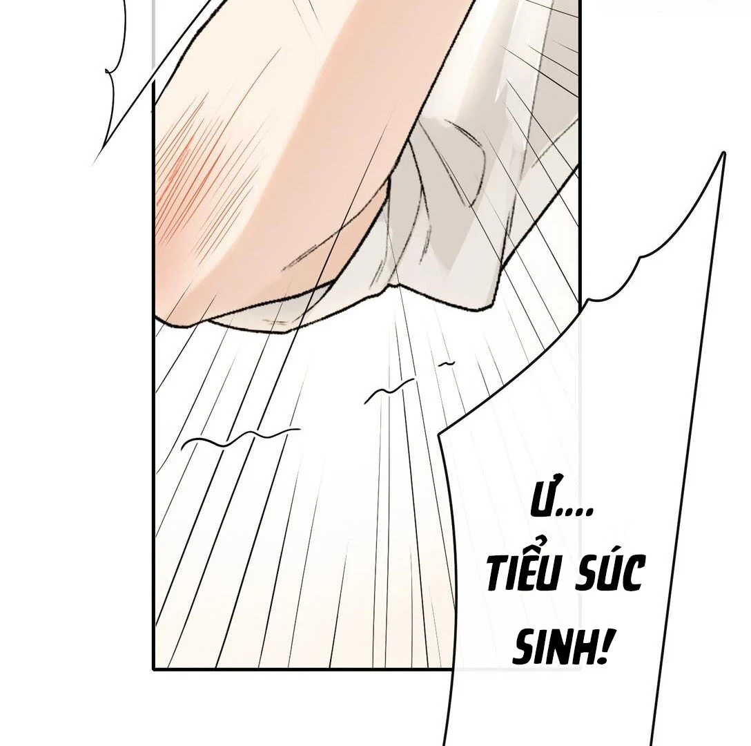 Sói Tiểu Thư Và Em Gái Hồ Ly Của Tôi Chapter 20 - Trang 5