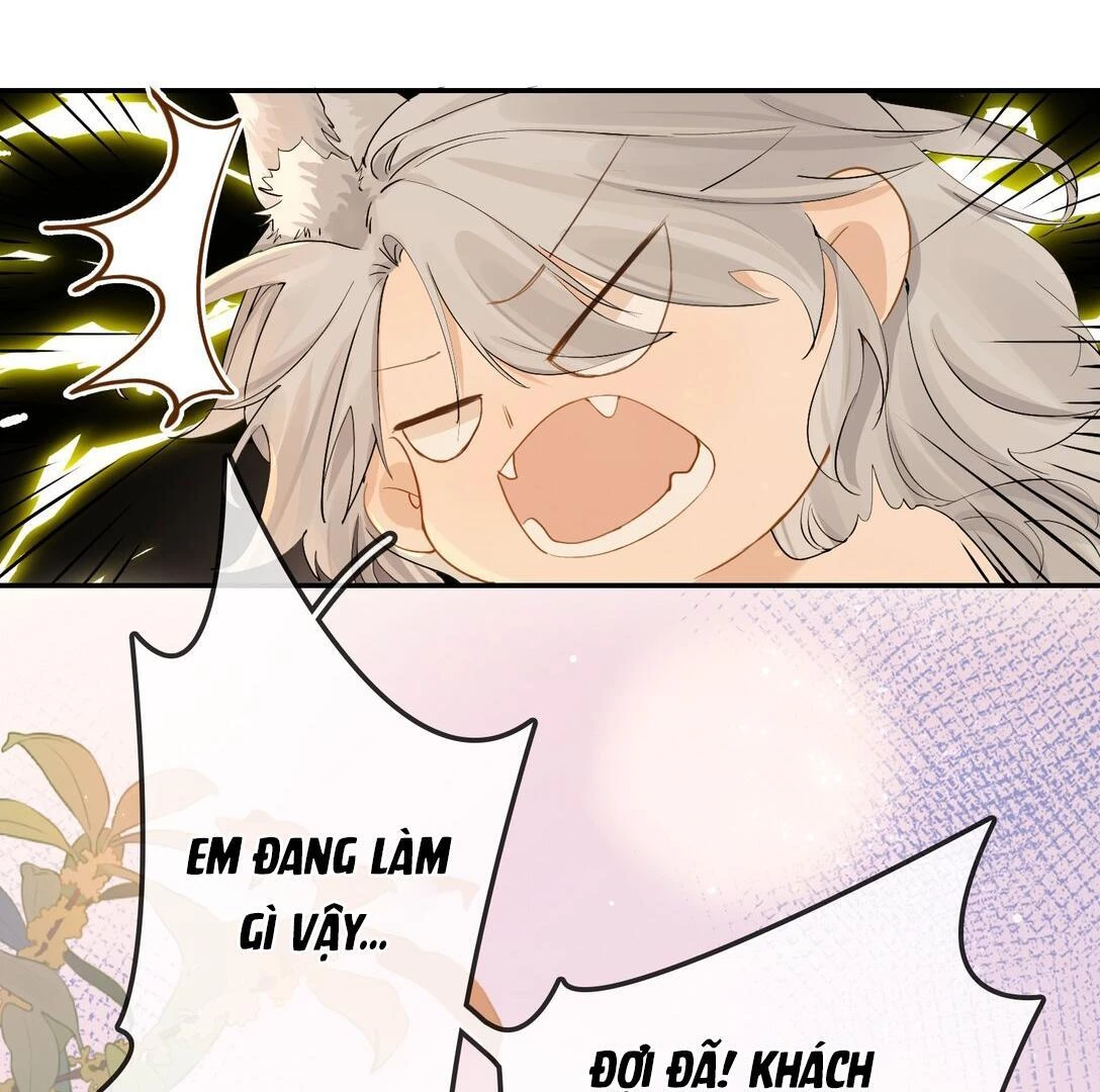 Sói Tiểu Thư Và Em Gái Hồ Ly Của Tôi Chapter 23 - Trang 48