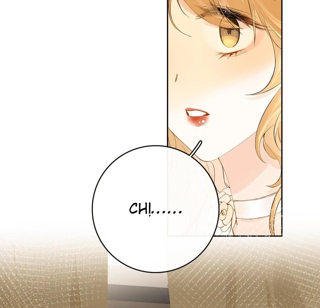 Sói Tiểu Thư Và Em Gái Hồ Ly Của Tôi Chapter 23 - Trang 7