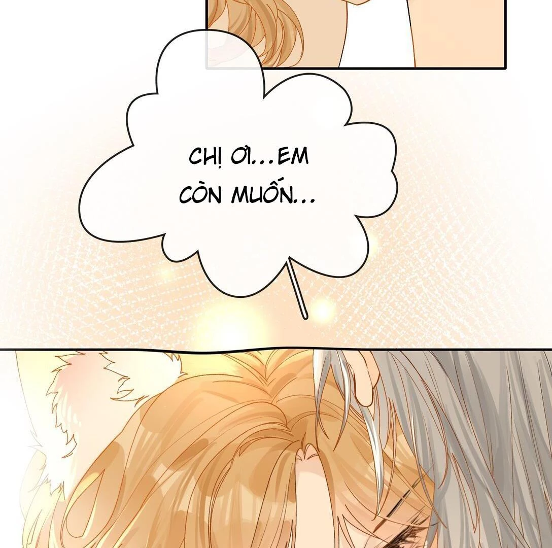 Sói Tiểu Thư Và Em Gái Hồ Ly Của Tôi Chapter 24 - Trang 17
