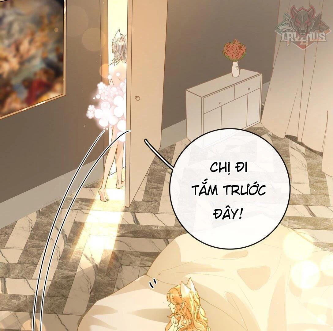 Sói Tiểu Thư Và Em Gái Hồ Ly Của Tôi Chapter 24 - Trang 23