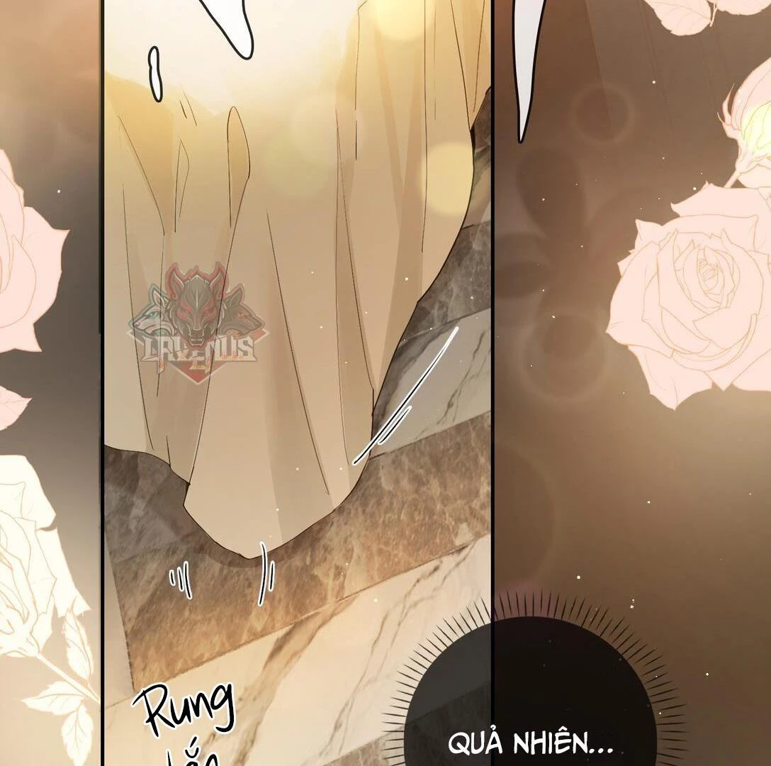 Sói Tiểu Thư Và Em Gái Hồ Ly Của Tôi Chapter 24 - Trang 4