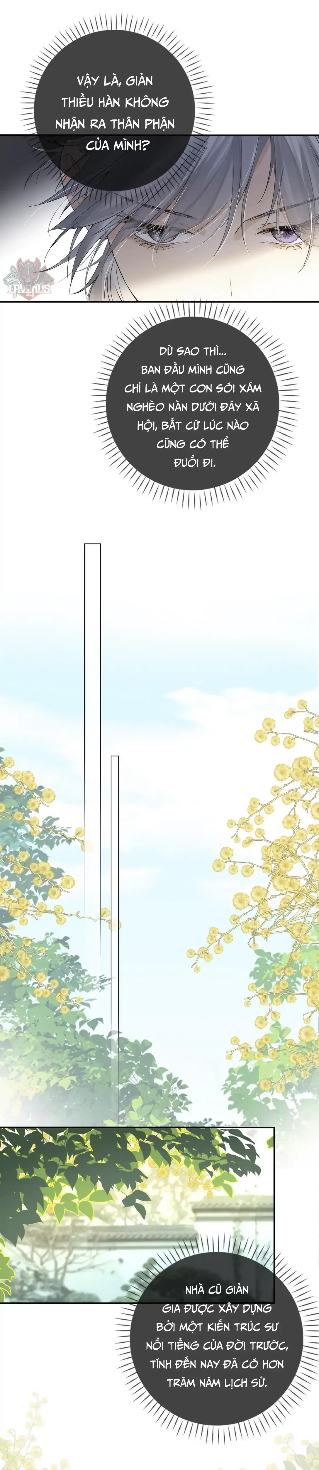 Sói Tiểu Thư Và Em Gái Hồ Ly Của Tôi Chapter 26 - Trang 25