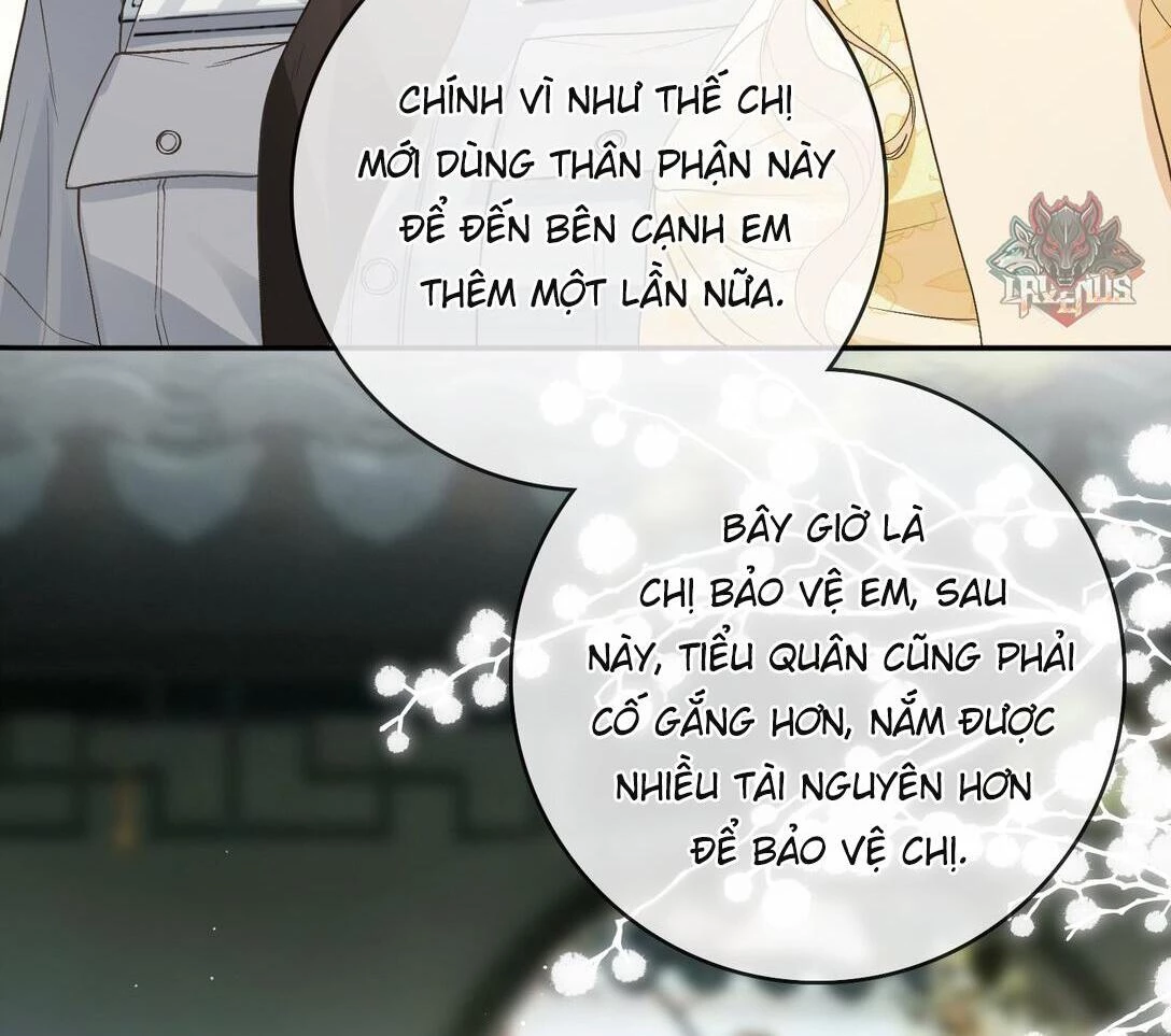 Sói Tiểu Thư Và Em Gái Hồ Ly Của Tôi Chapter 27 - Trang 15