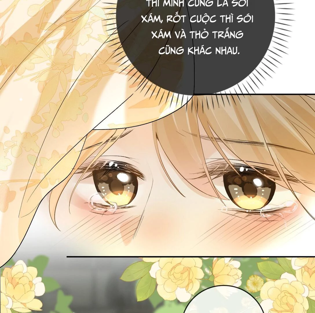 Sói Tiểu Thư Và Em Gái Hồ Ly Của Tôi Chapter 27 - Trang 18