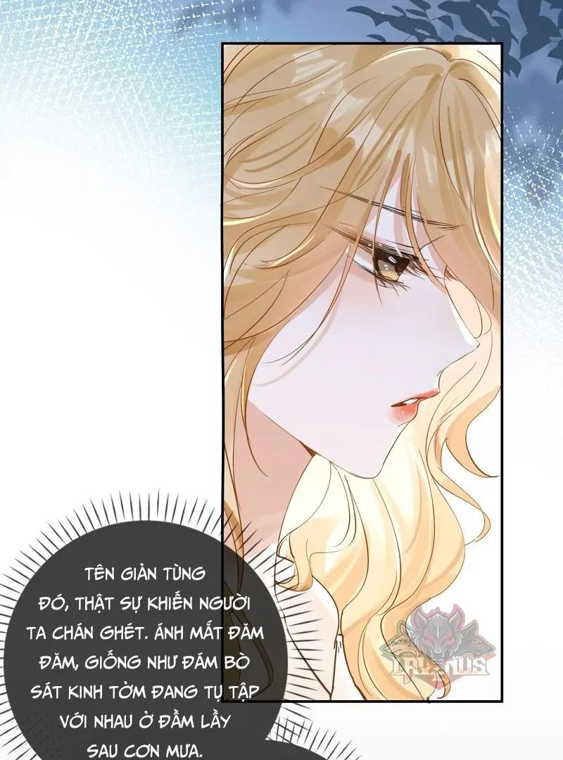 Sói Tiểu Thư Và Em Gái Hồ Ly Của Tôi Chapter 28 - Trang 13