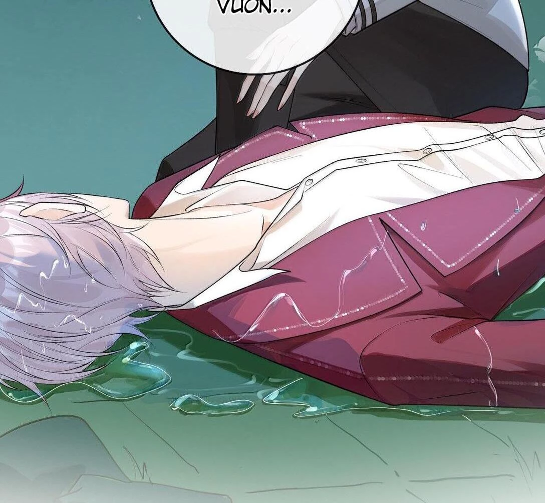 Sói Tiểu Thư Và Em Gái Hồ Ly Của Tôi Chapter 29 - Trang 14
