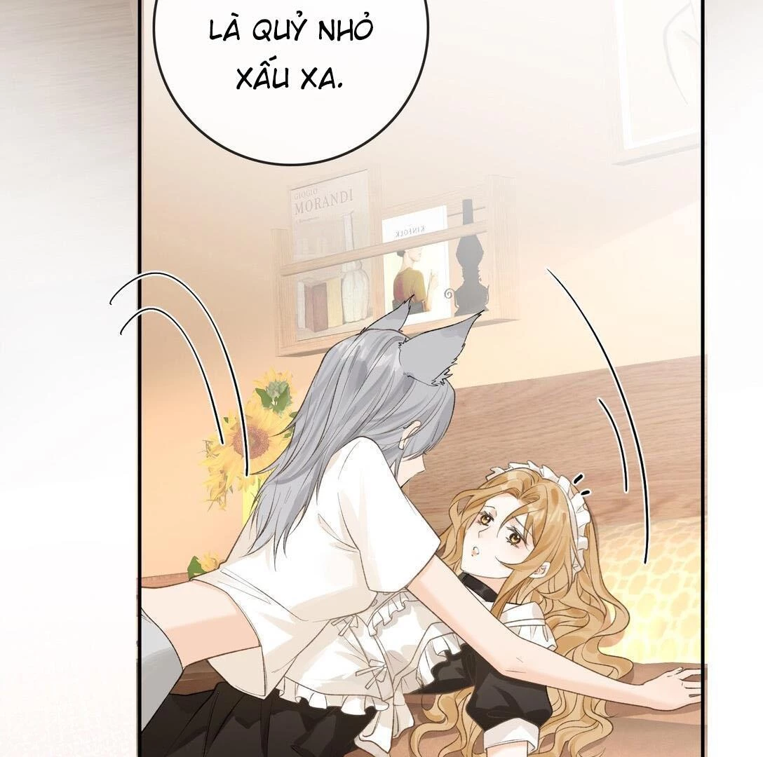 Sói Tiểu Thư Và Em Gái Hồ Ly Của Tôi Chapter 31 - Trang 14